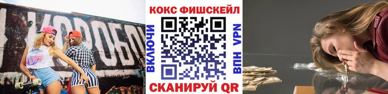 Cocaine FishScale  где продают   Вельск 